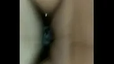 চালান সেচের কিটি-বিড়াল slews