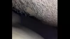 চালান ভাইভা হলেই
