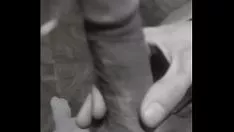 Redare Simulați strigăturile