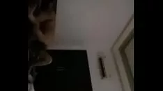 चलाएँ वेजी मेंटल