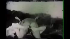 再生 縫工筋（1907）。南米第1位のポルノ