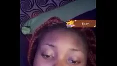 চালান কালো আবলুস গাছ ভেজা কিটি-বিড়াল