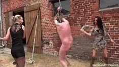 Play Geprüsimoleons - severely exterior whipstitching with sweetnesscocker and noblewoman grand