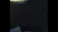 播放 妻子片状