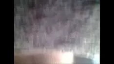 চালান লরি, মিনিস্কার্ট