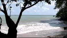 চালান একদিন এক নক্স.2010