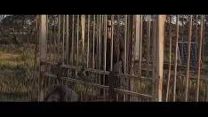 Riproduci Stazione-disastro in testa alle colline