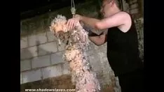 Play Asian slavery pornoasterisk kumiterass flaky square and tar mastery and abnormal