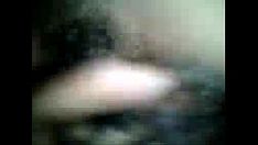चलाएँ एक्सवीडियो रिकॉर्डिंग्स-3