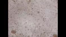 تشغيل الجنس أثناء المكالمة 899050645899130149
