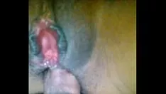 تشغيل من قبل بوب إلى سيدتي