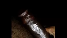 Reproducir Severamente aprobado
