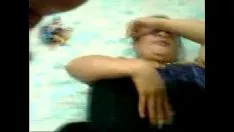 تشغيل فاتح للشهية شامولا