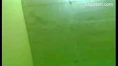 চালান বৃক্ষ দেলগাডো পিনে আক্রোশ