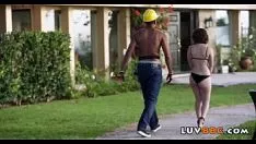 Play Beautiful red-header tries blackcock 124 81