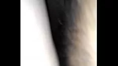 Riproduci Bontà gattino
