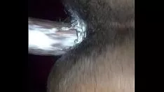 চালান মোটা আবলুস গাছ কিটি-বিড়াল
