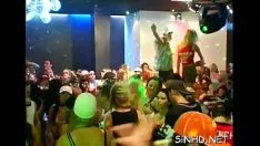 Abspielen Aufregende Favoriten sind geteilte tsuccessor red-hot kitty-caties und tits